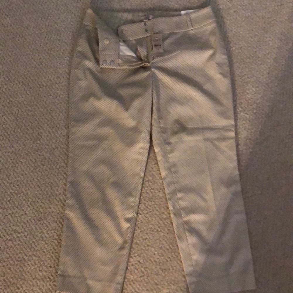 Ann Taylor Loft Ankle Pants